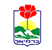 תמי זוזל